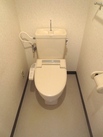 Toilet. Toilet