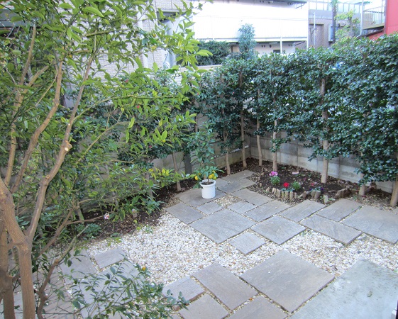 Garden. Terrace!
