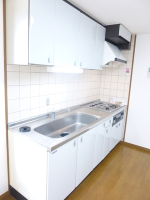 Kitchen. System kitchen