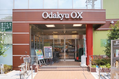 Other. Odakyu OX (super) 750m