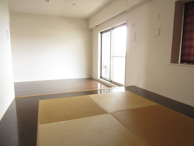 Living and room. Tatami space