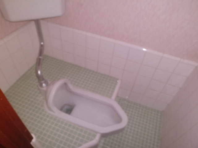 Toilet