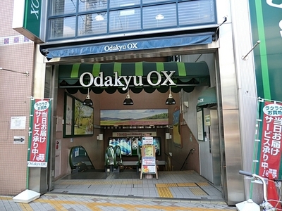 Supermarket. 586m to Odakyu OX (super)