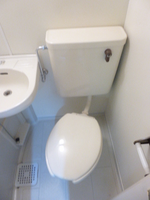 Toilet. Toilet