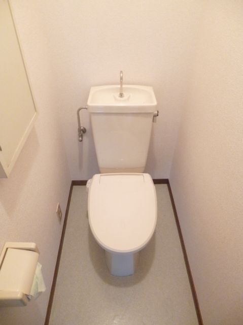 Toilet. With warm toilet