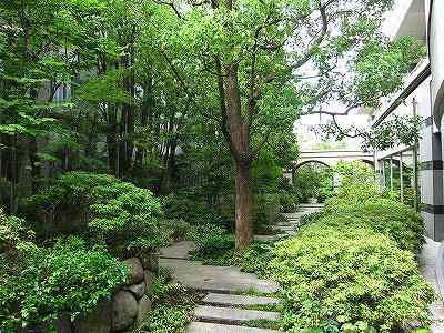 Other common areas. courtyard