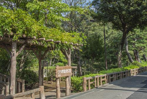 park. Until the bell pond park ※ A: 570m / 8 min. Walk ※ B: 450m / 6 mins