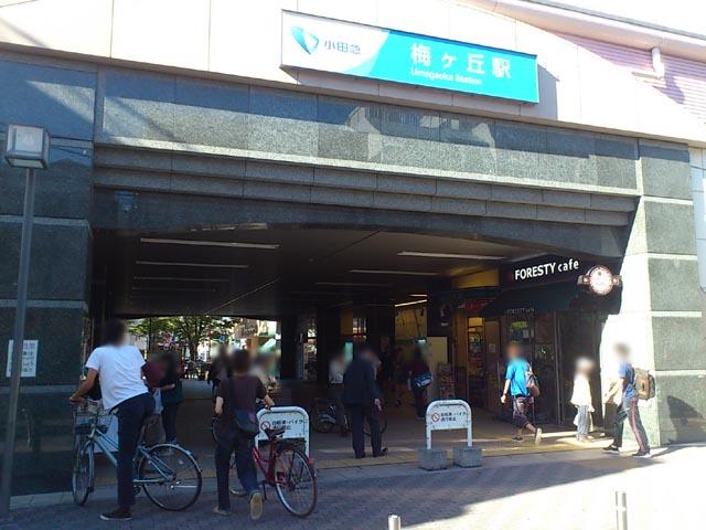 Other. Umegaoka Station