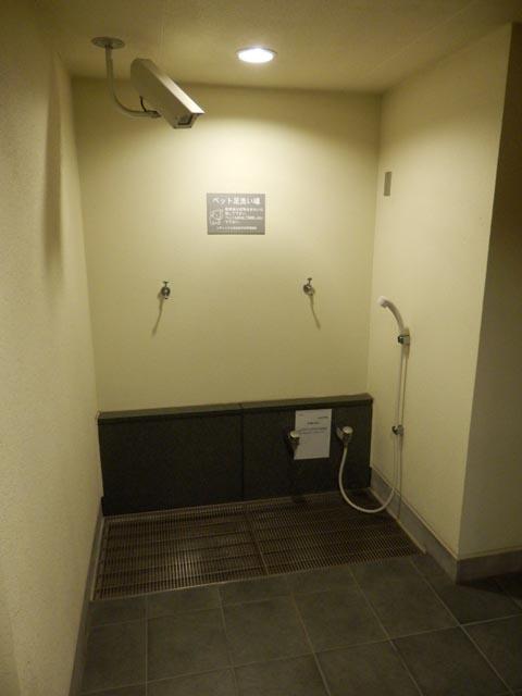 Other common areas. Pet foot washing place