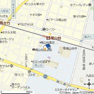 Local guide map