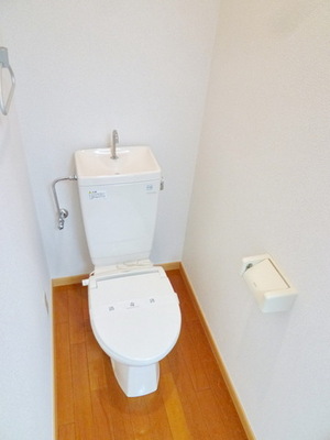 Toilet. Toilet