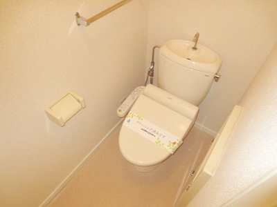 Toilet. Spacious toilet