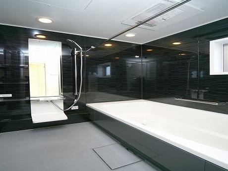 Same specifications photo (bathroom). Enforcement example photo