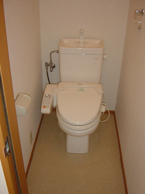 Toilet. Bidet