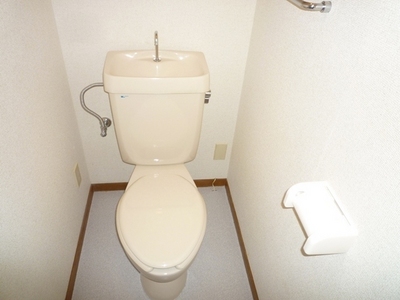 Toilet. Toilet