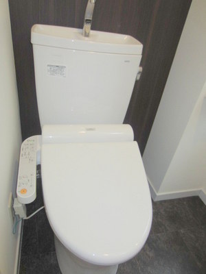 Toilet. Washlet toilet