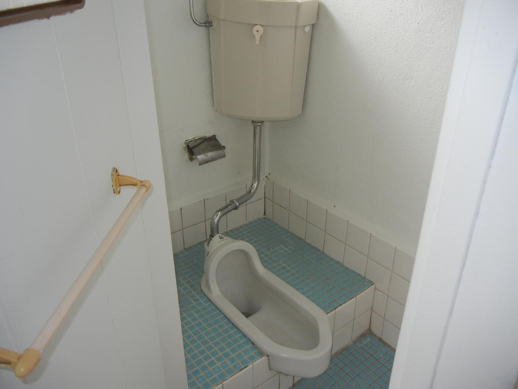 Toilet. It is a Japanese-style