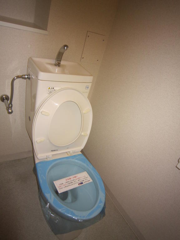 Toilet. With a convenient shelf