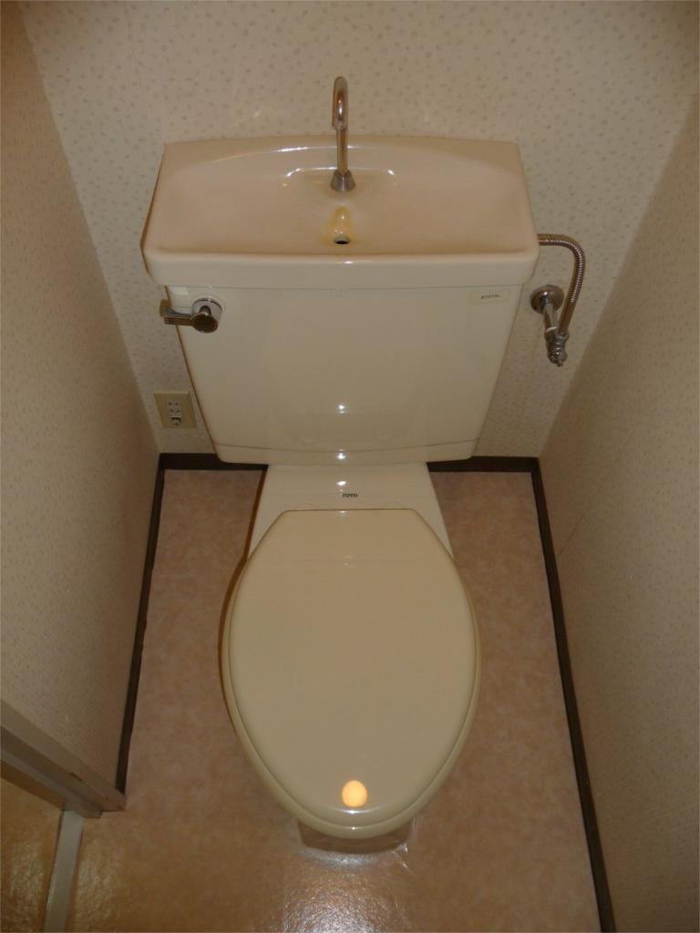 Toilet. Toilet