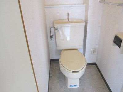 Toilet. It is a toilet with a clean