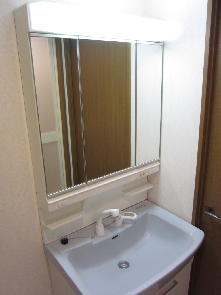 Washroom. Wide bowl in a large mirror