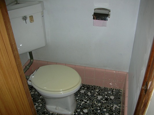 Toilet