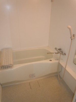 Bath. Spacious bathroom