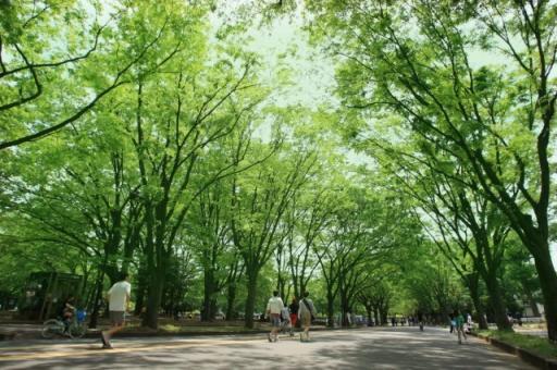 park. 780m to Komazawa Olympic Park