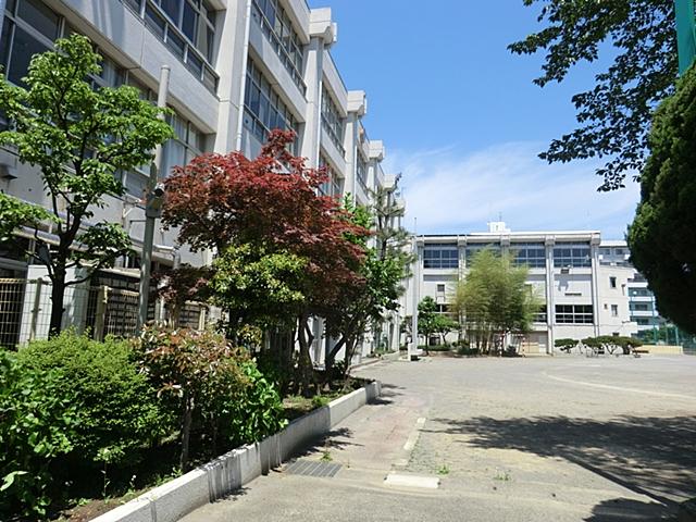 Junior high school. 1231m to Setagaya Ward Funabashi hope junior high school