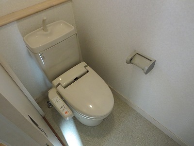 Toilet. Toilet