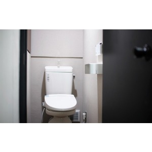 Toilet. Toilet (common areas)