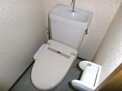 Toilet. Glad Washlet toilet