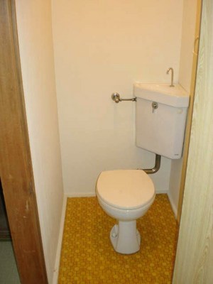 Living and room. Toilet