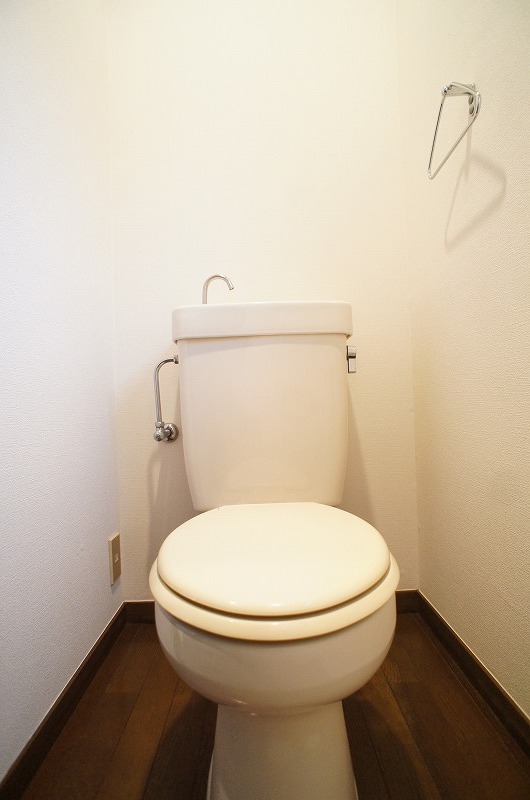 Toilet. Toilet of white keynote with cleanliness! 