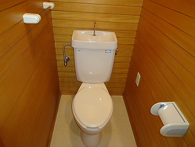 Toilet