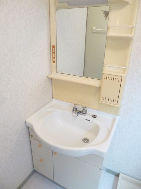 Washroom. Bathroom vanity