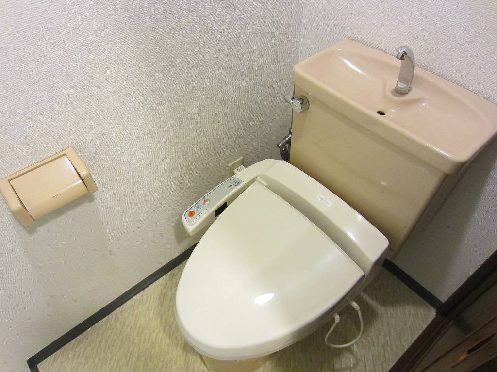 Toilet