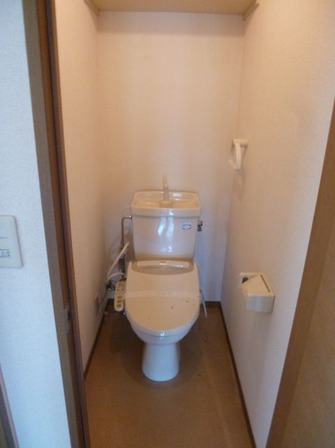 Toilet. It is a beautiful toilet