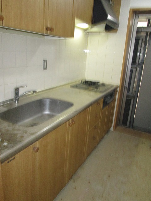 Kitchen. In indoor cleaning