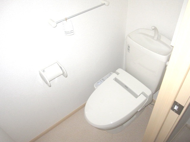 Toilet. Beautiful toilet