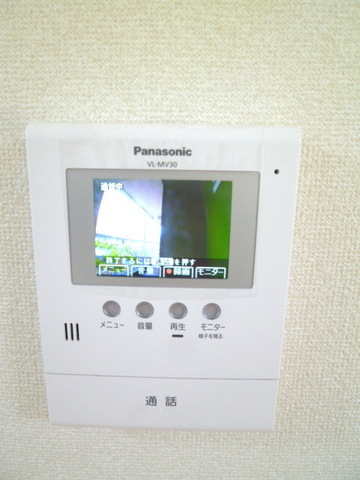 Security. TV monitor phone