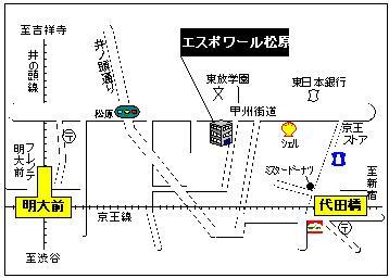 Local guide map