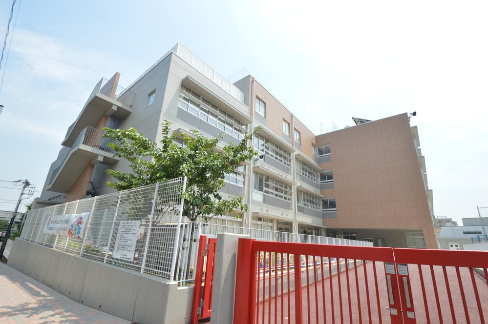 Primary school. Sakura elementary school