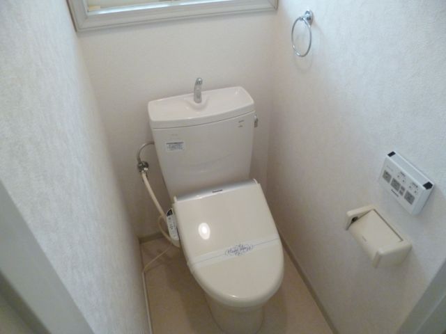 Toilet. Bathroom with a shower