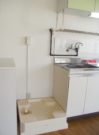 Living and room. Washing machine in the room established in the kitchen aside