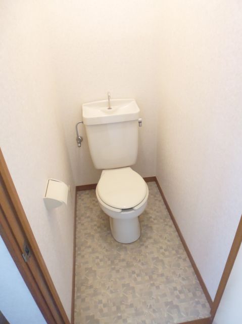 Toilet. Clean toilet