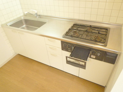 Kitchen. System kitchen