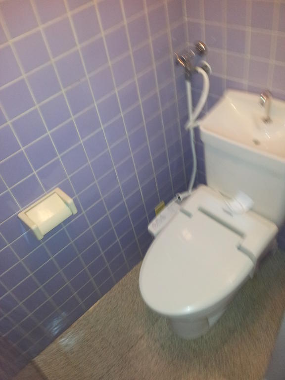 Toilet