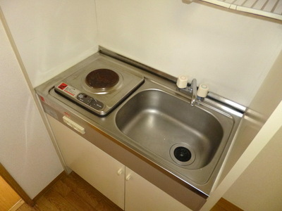 Kitchen. Electric stove with kitchen