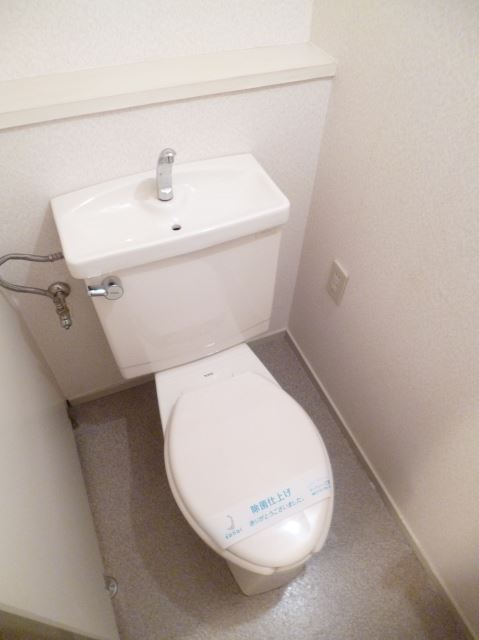 Toilet. Clean toilet